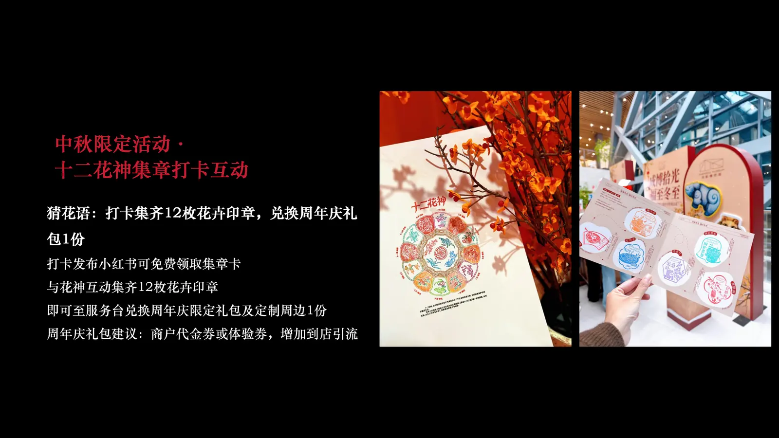 活动方案 06